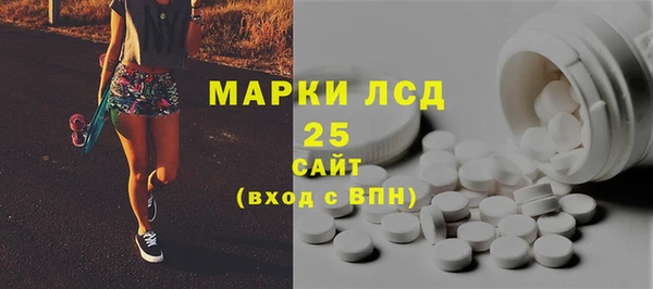 ПСИЛОЦИБИНОВЫЕ ГРИБЫ Кукмор