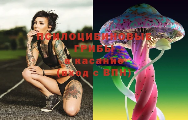 ПСИЛОЦИБИНОВЫЕ ГРИБЫ Кукмор